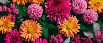 Coloriages du mois de mai : inspirations printanières et activités ludiques